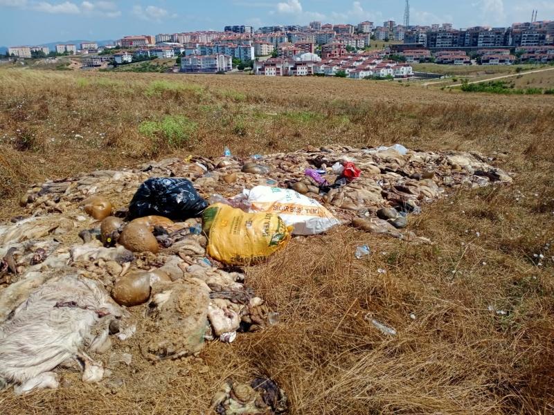 Kurban atıklarıyla ilgili yapılan uyarılar dikkate alınmadı