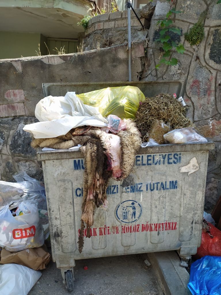 Kurban atıklarıyla ilgili yapılan uyarılar dikkate alınmadı