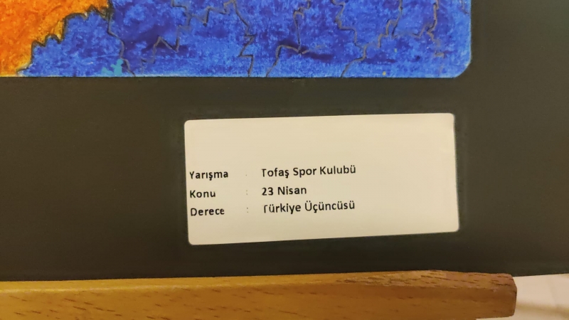 Küçük ressam Burak Yeyin, karma resim sergisini Bursa'da açtı