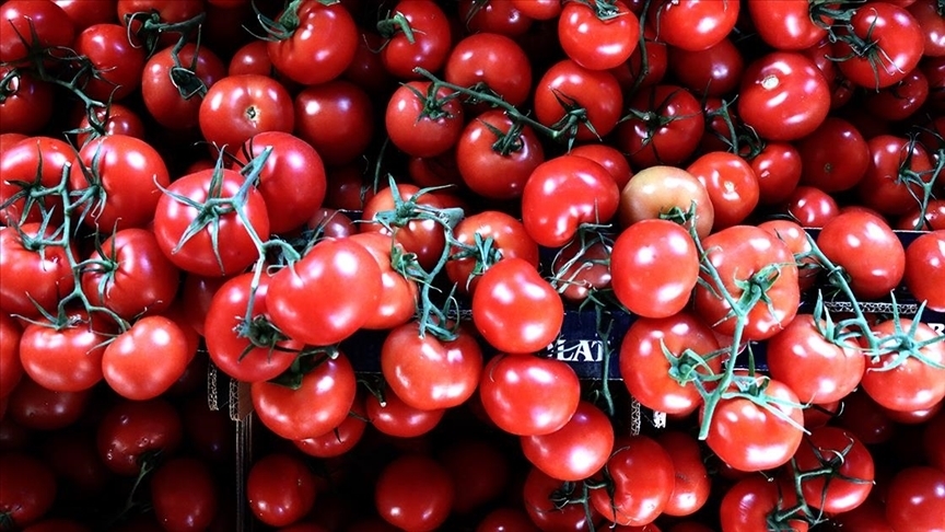 Türkiye'nin 11 aylık yaş meyve sebze ihracatının yaklaşık 5'te 1'ini üzüm ve domates oluşturdu