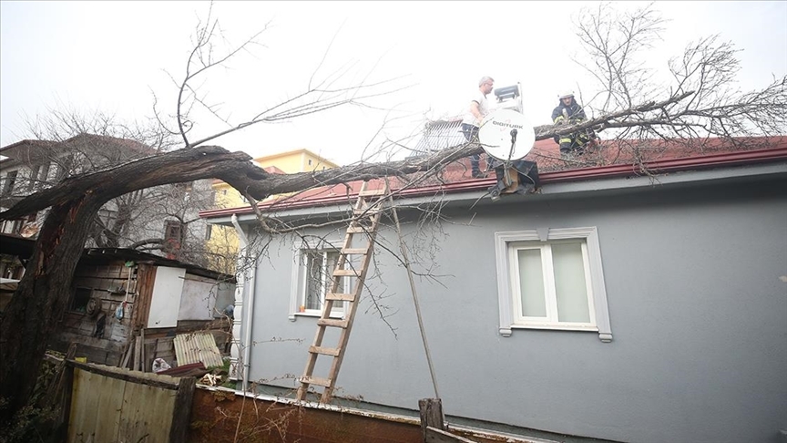 Düzce'de kuvvetli rüzgar dolayısıyla müstakil evin çatısına ağaç devrildi