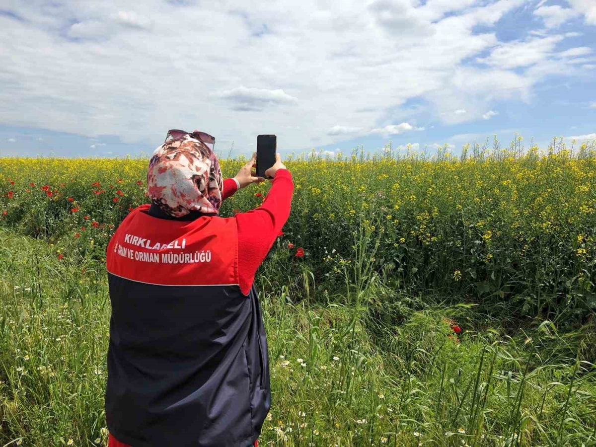Tarlalarda dijital tarım çalışmaları
