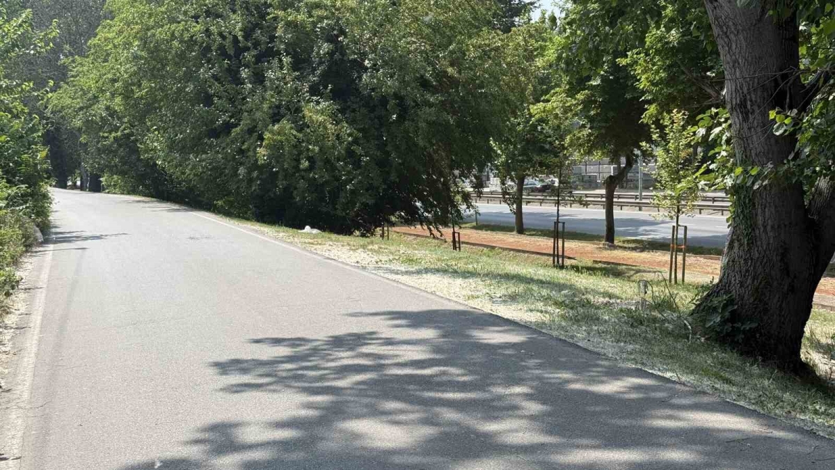 Aracında silahla vurulmuş halde ölü bulundu
