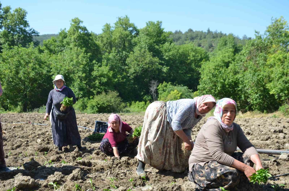 162 yıldır aynı 