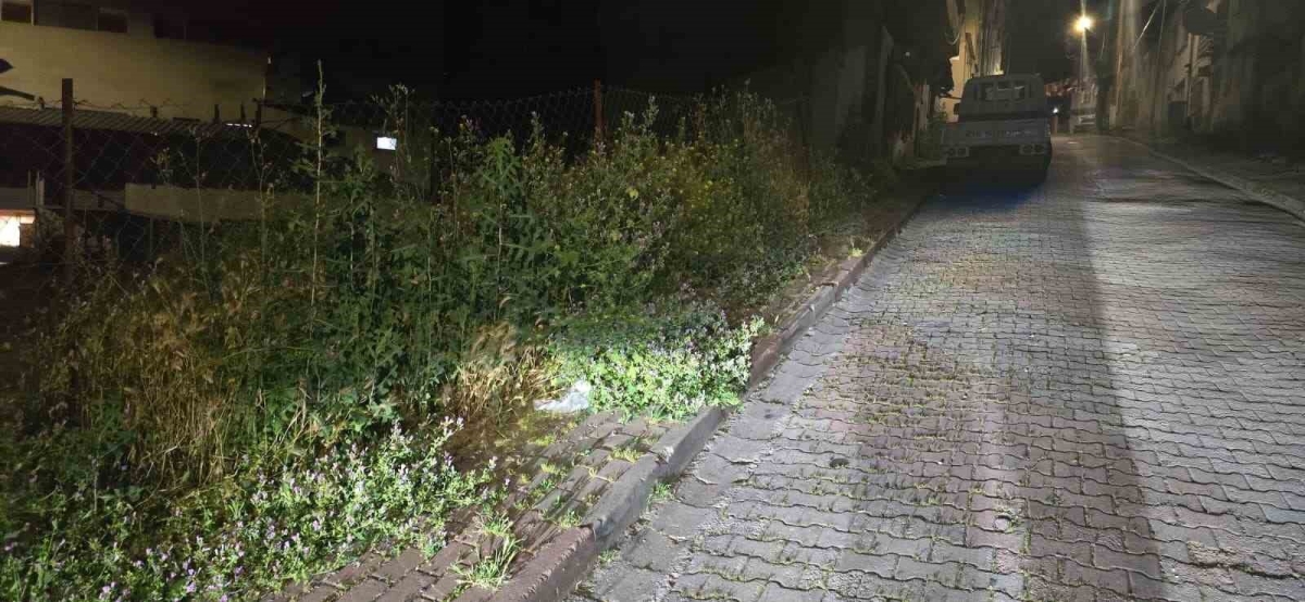 Bilecik’te vatandaşlar otlardan kaldırımda yürüyemiyor
