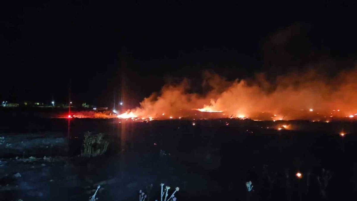 Burhaniye’de korkutan örtü yangını
