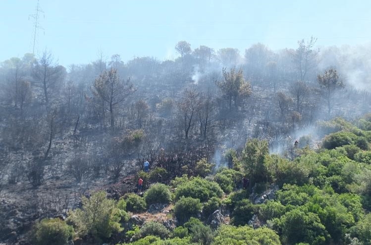 Balıkesir’deki orman yangını kontrol altına alındı
