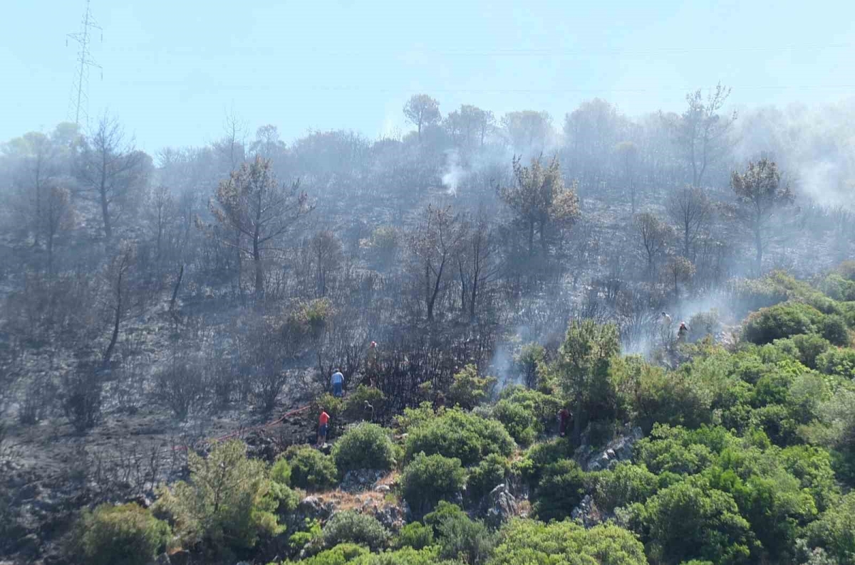 Burhaniye’de çıkan orman yangınında yaklaşık 10 dekar alan zarar gördü
