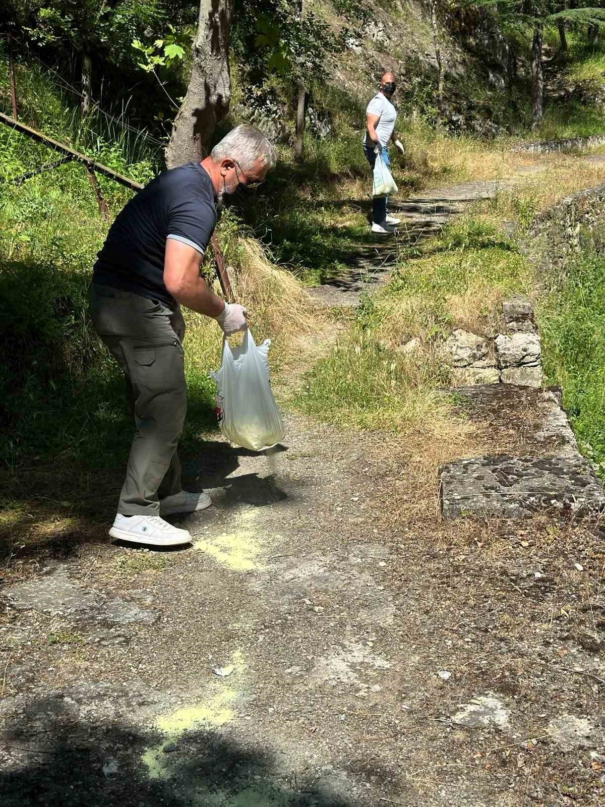 Bilecik’te piknik alanlarında ilaçlama çalışması gerçekleştirildi
