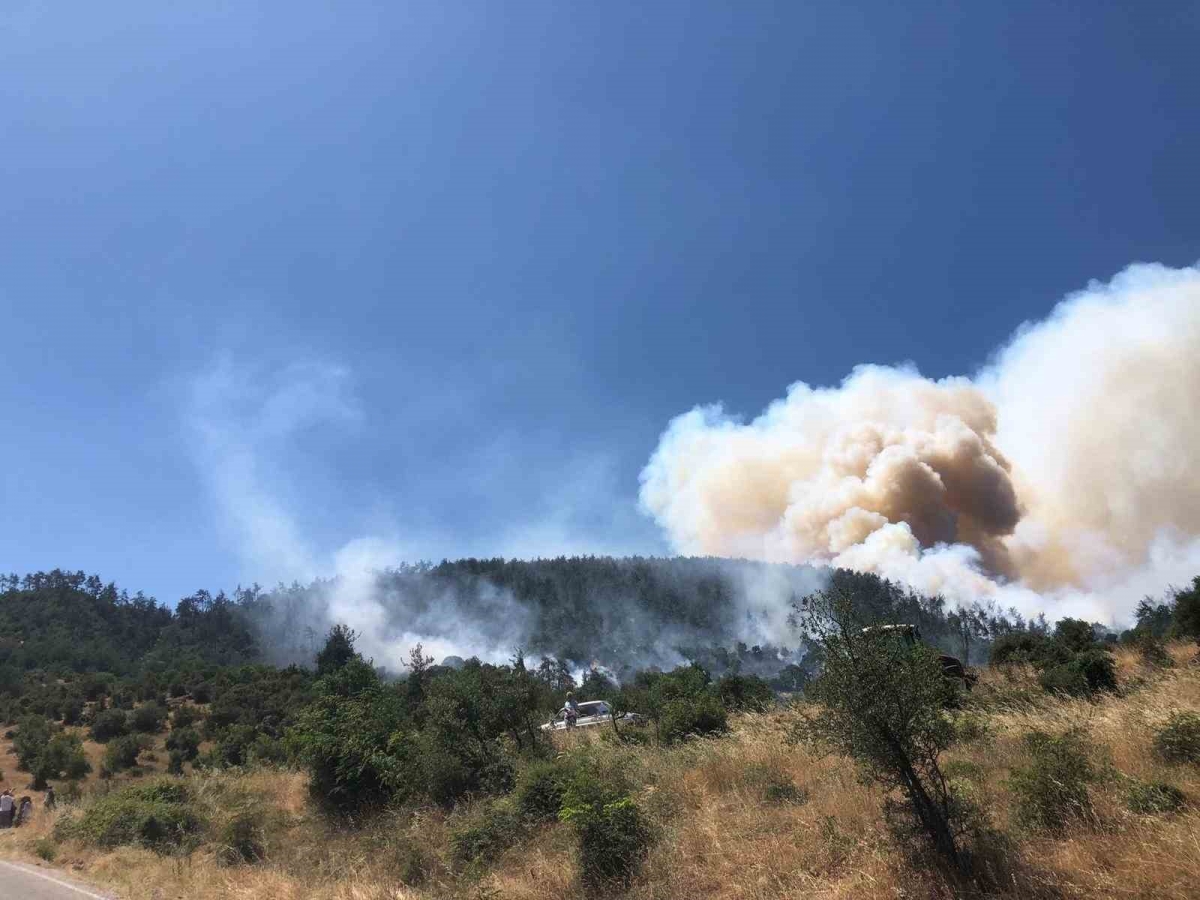 Balıkesir Kepsut’ta orman yangını
