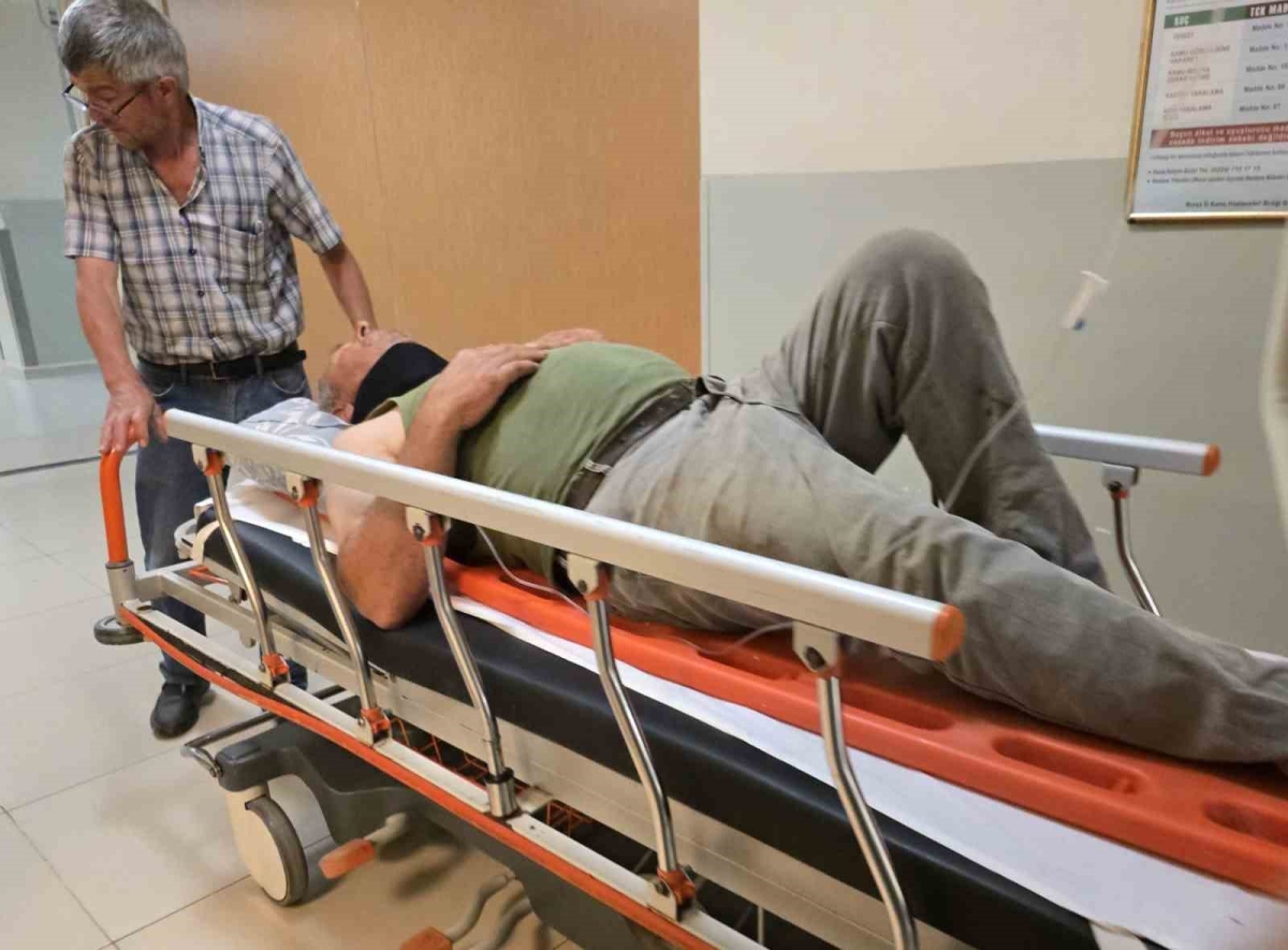 Ahırın çatısından düşen kişi hayatını kaybetti
