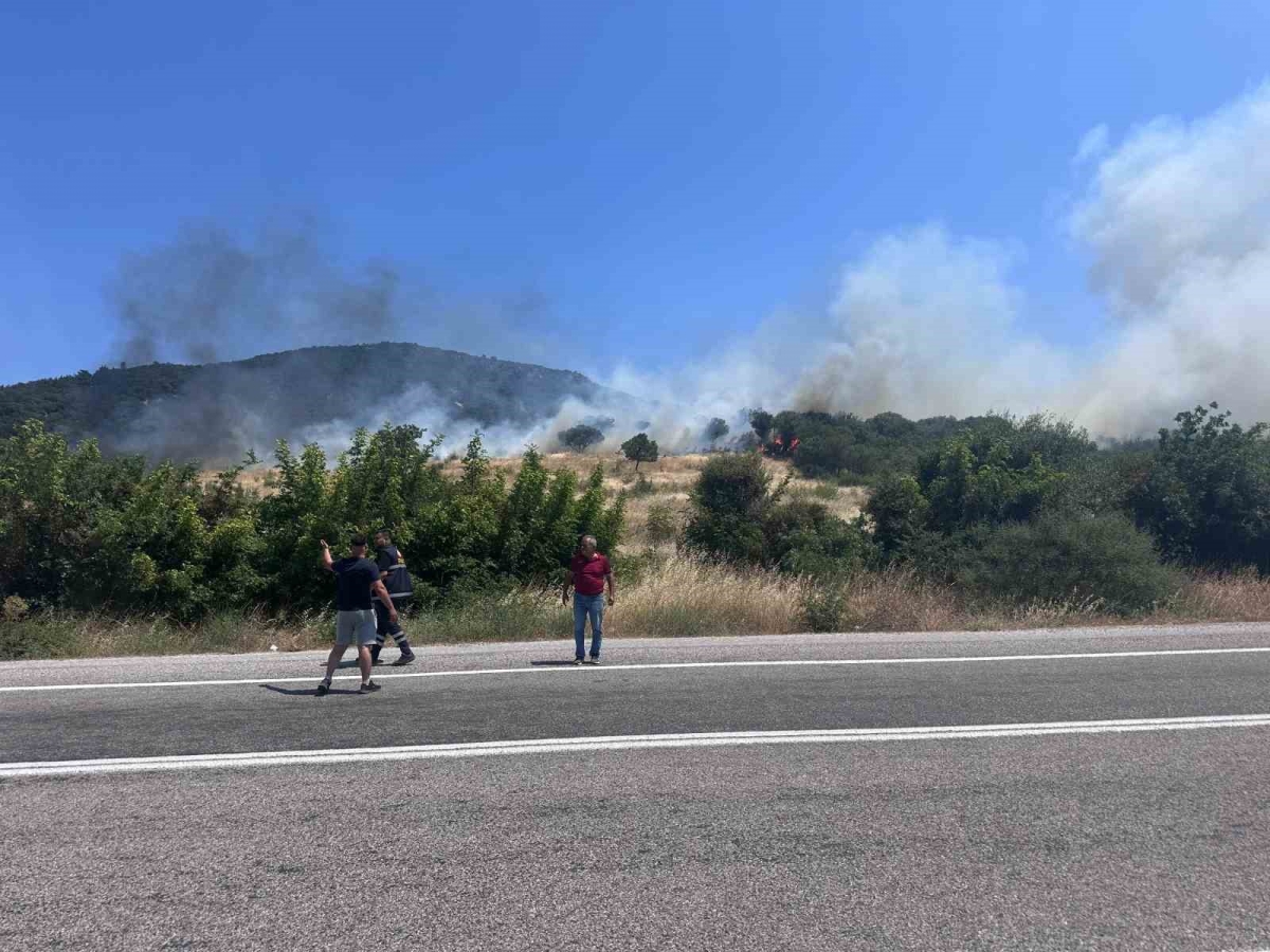 Ayvacık’ta orman yangını
