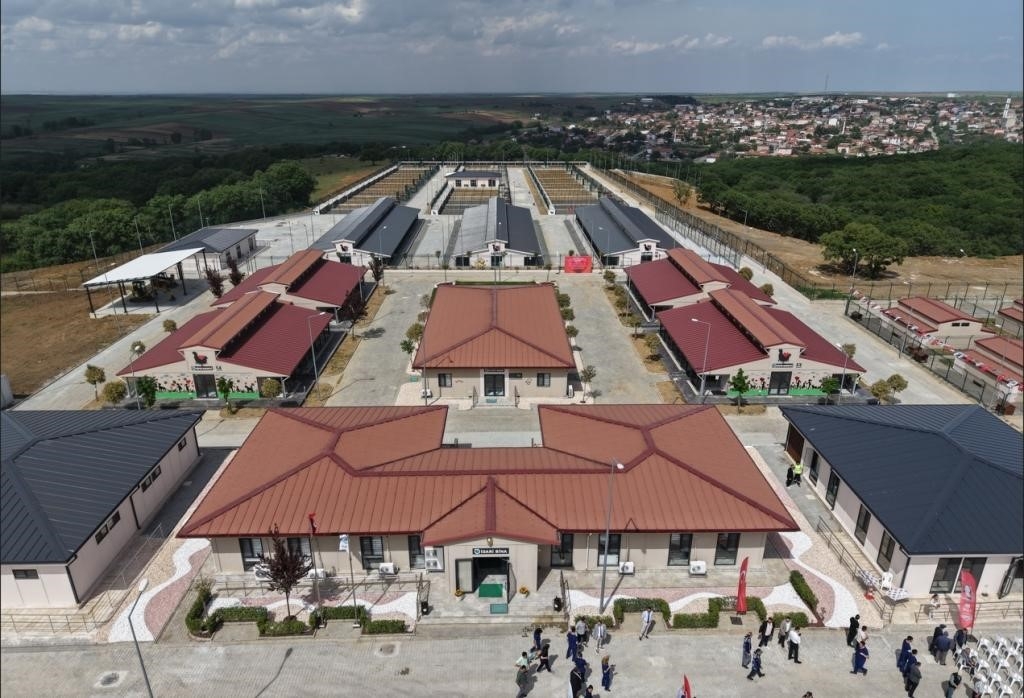 Tekirdağ’da 5 binden fazla sahipsiz hayvana umut oldular
