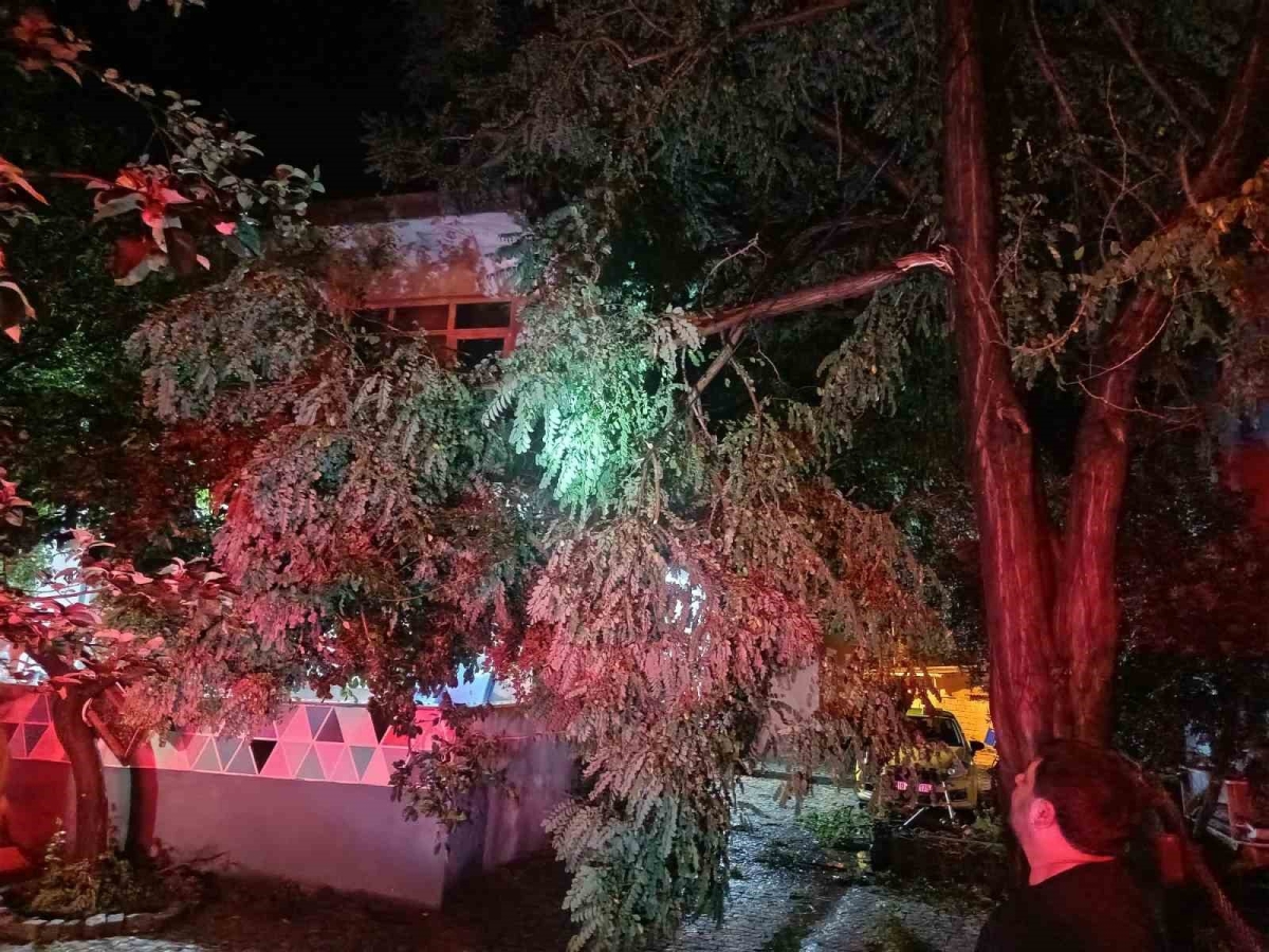 Erdek’te fırtına ve dolu yağışı: Ağaçlar devrildi, çatılar uçtu
