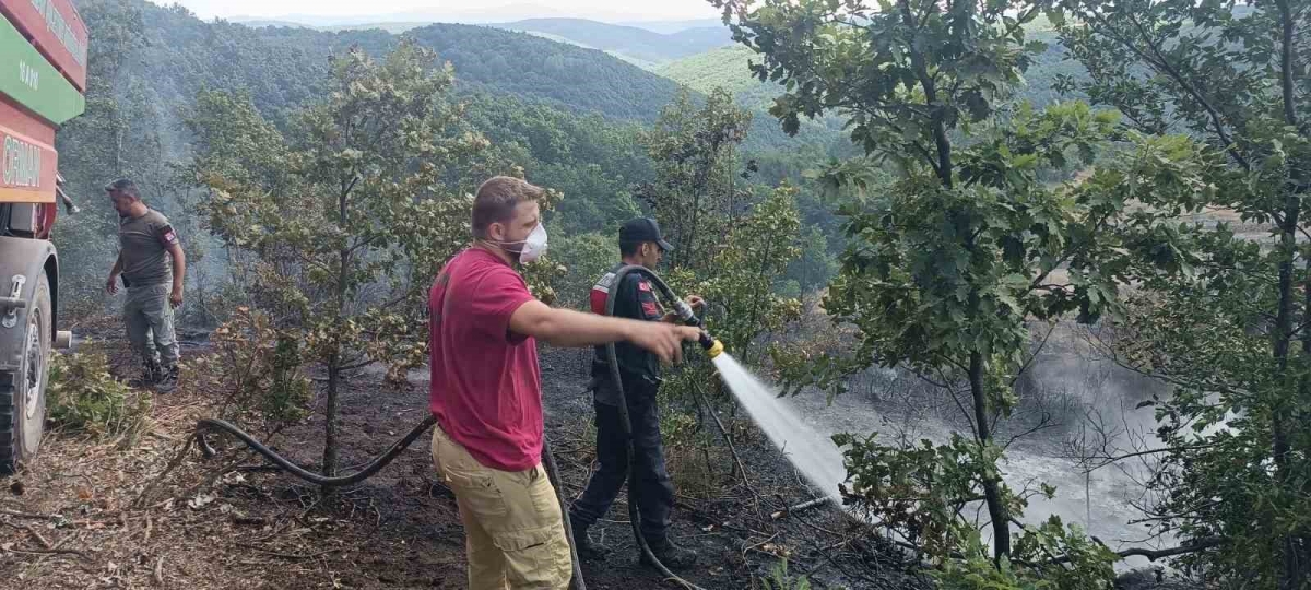 Bilecik’te 20 dönümlük alanda korkutan yangın
