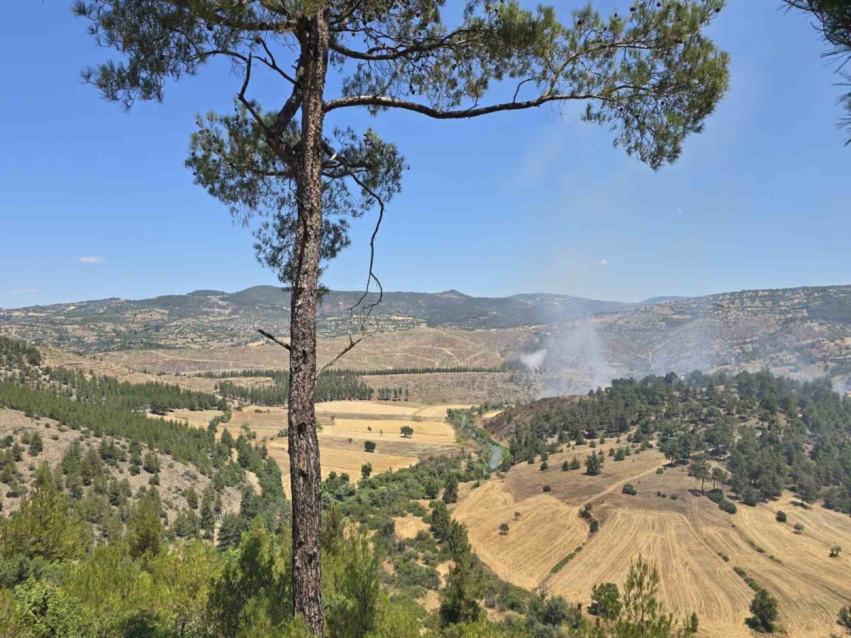 Dursunbey’de orman yangını
