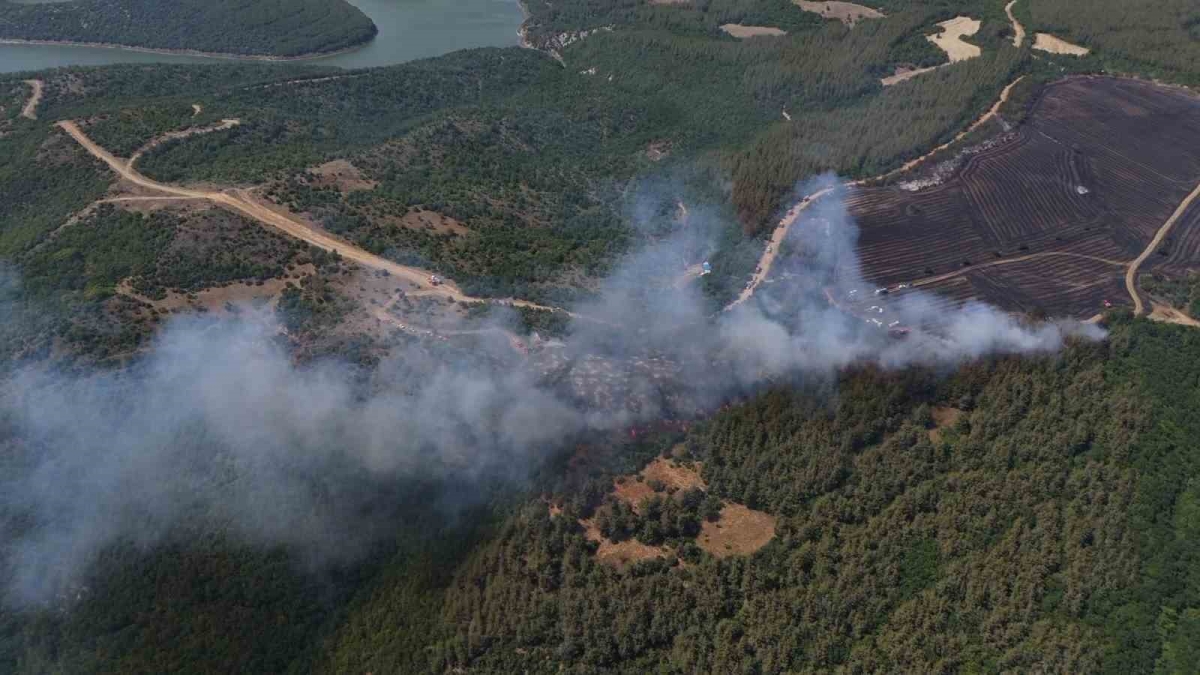 Anızdan ormana sıçrayan yangın dron ile görüntülendi
