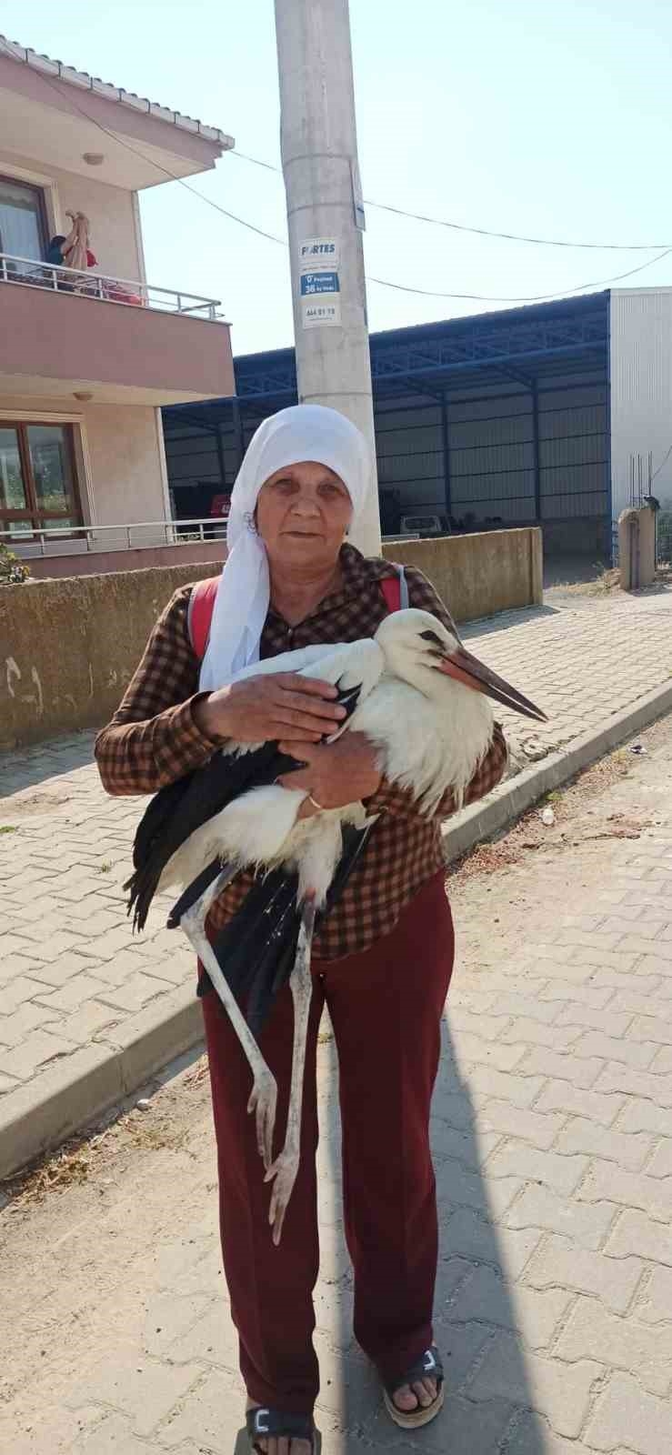 Yerde bitkin halde bulduğu yaralı leyleğe sahip çıktı
