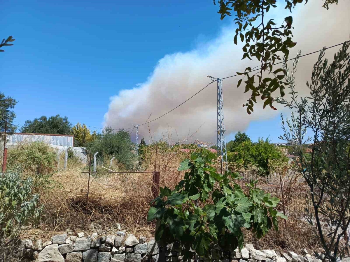 Gömeç’te orman yangını
