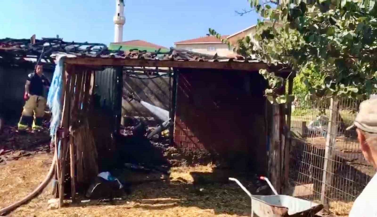 Çanakkale’de ahırda çıkan yangın söndürüldü
