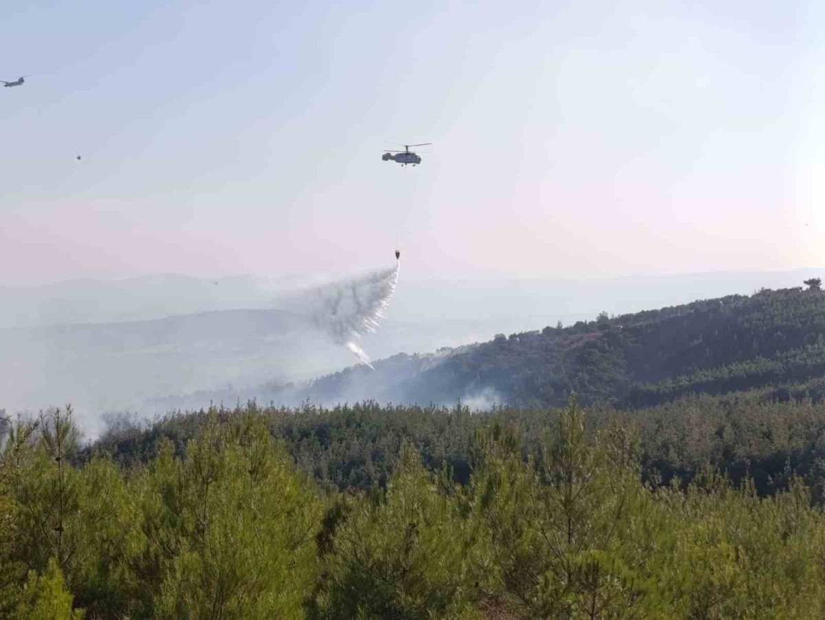 Bayramiç’teki orman yangını büyük ölçüde kontrol altında
