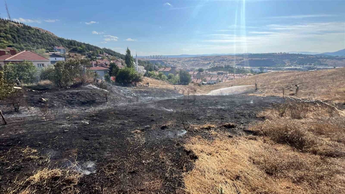 Bozüyük’te otluk yangını
