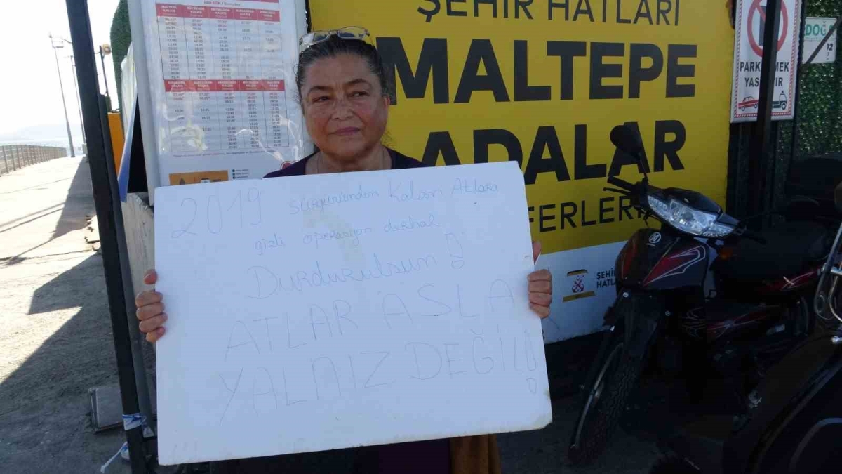 Büyükada’da kalan son 16 at için ‘gizli sevk’ iddiası: Hayvanseverlerden 