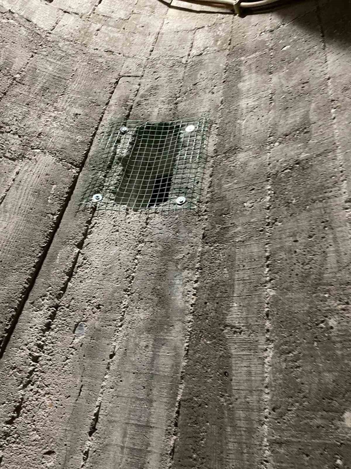 Burhaniye’de çıkılmayan minareler kargalara mesken oldu
