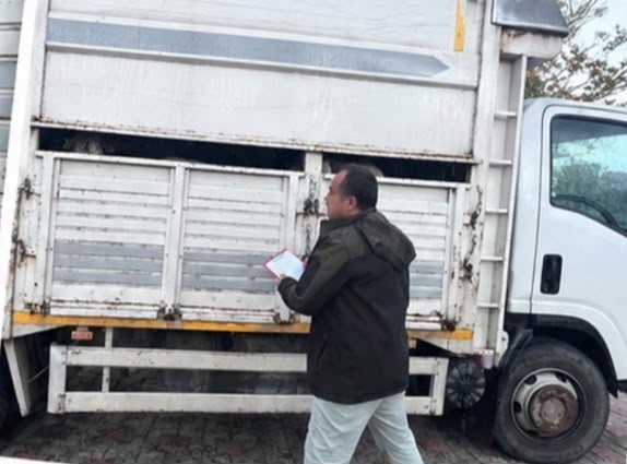 Hayvanları belgesiz sevk edenlere yasal işlem uygulandı
