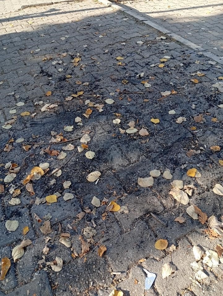 Bilecik’te parkın ortasında ateş yaktılar
