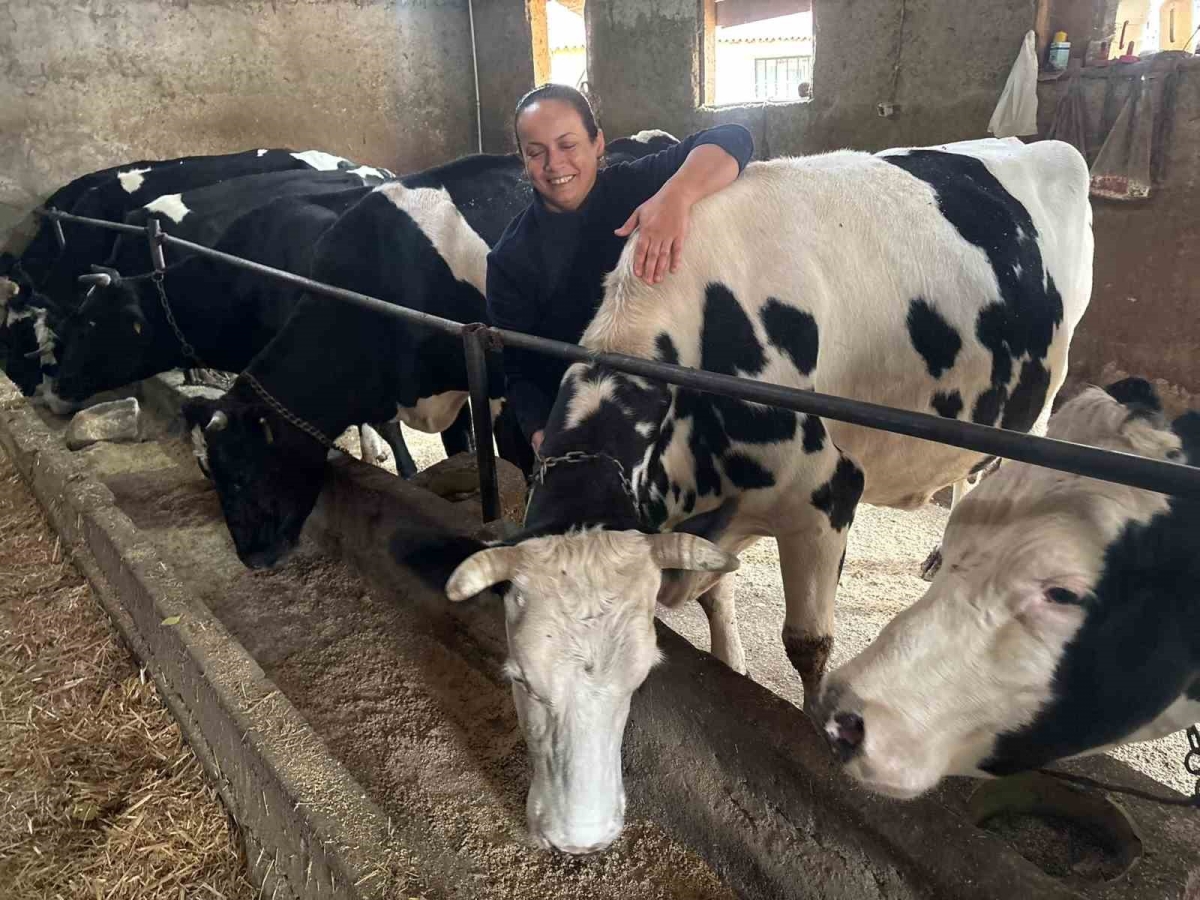 Kadın çiftçinin azmi devlet desteğiyle büyüdü: Edirne’de 5 hayvanla filizlenen umut, 30 hayvanla büyüdü
