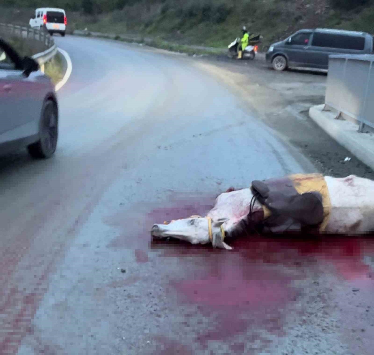 İstanbul’da korkunç kaza: Atın kopan bacağı otomobile saplandı
