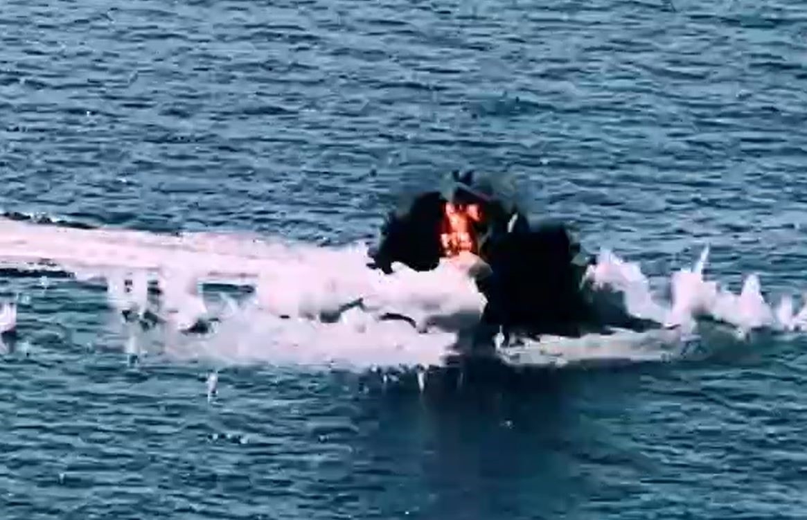 Selçuk Bayraktar:
