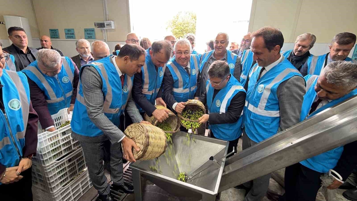 Edremit’te Akademik Zeytin Hasat Şenliği düzenlendi
