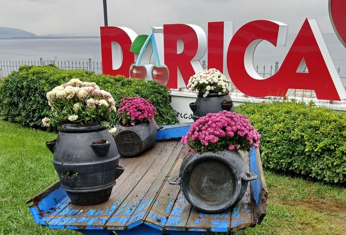 Darıca’da yeşil alanlar mevsimlik çiçeklerle renkleniyor
