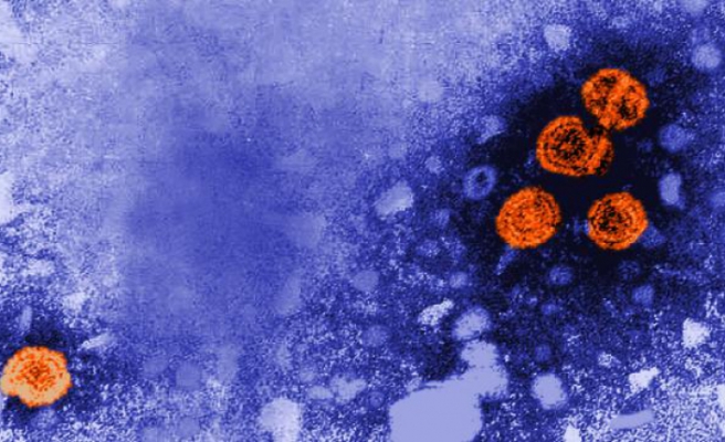 Gizemli hepatit yayılıyor: 15 şüpheli vaka daha
