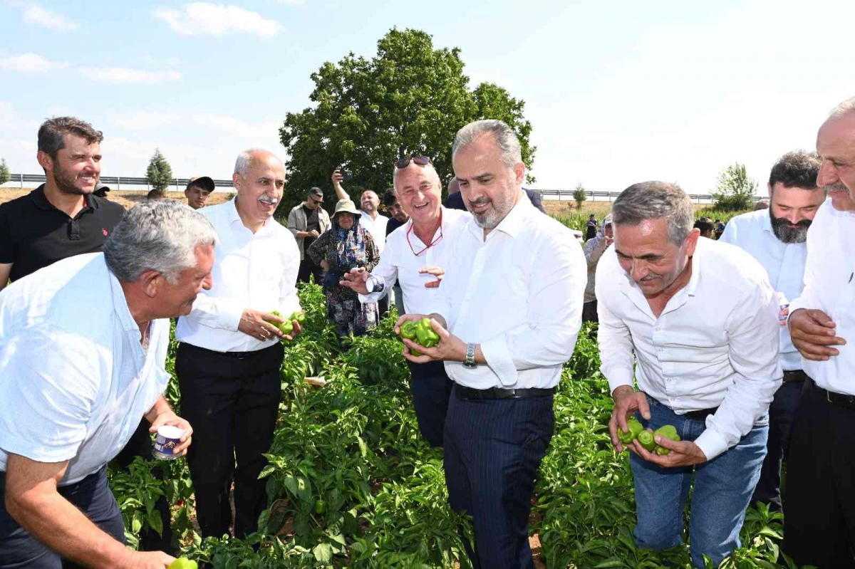 Bursa Büyükşehir’in çiftçiye desteği sürüyor