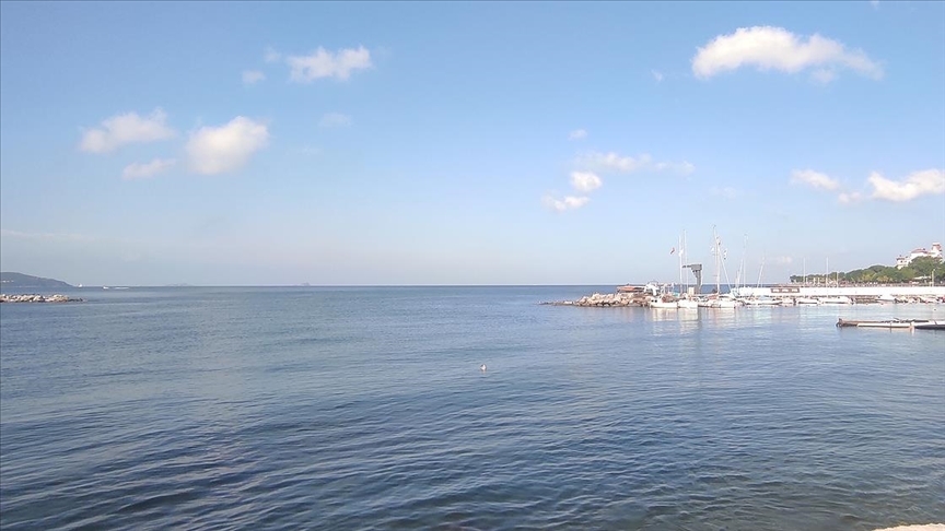 Marmara Denizi'nin küresel iklim değişikliği ve kirliliğe bağlı ısındığı belirtildi