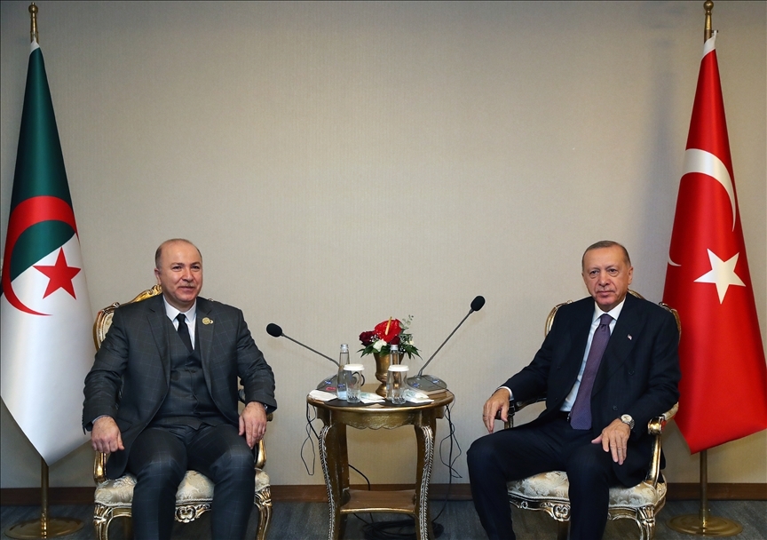 Cumhurbaşkanı Erdoğan, Cezayir Başbakanı ile Nijer Başbakanını kabul etti