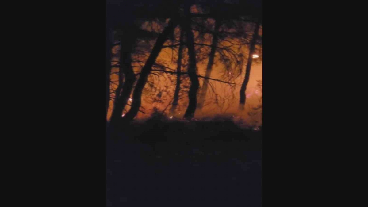 Osmangazi’de televizyon ve radyo vericilerinin bulunduğu kırsal alanda orman yangını