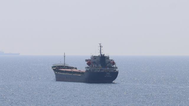 Ukrayna’dan 3 bin ton ayçiçeği taşıyan gemi Tekirdağ’a ulaştı